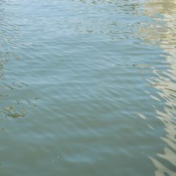 VJ中毒‼発令中⤵